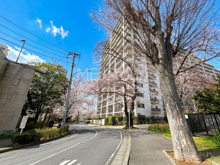 ���n�O�ώʐ^�@��������n�܂�V�����������������܂�