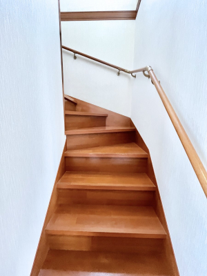 ���̑��@�K�i�͎肷��t���Ȃ̂ŏ����Ȃ��q���܂₲����̕������S�ł�