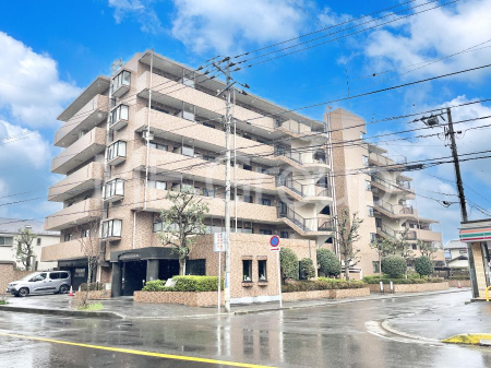 ���n�O�ώʐ^�@��Ƃ肪�Ί�𐶂ސS�n�悢���� 