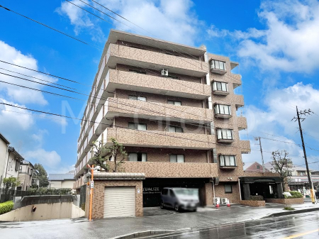 ���n�O�ώʐ^�@�����ɕ֗��Ȓn�ɐL�т₩�ȉƑ��̐������i��`���Z�܂�