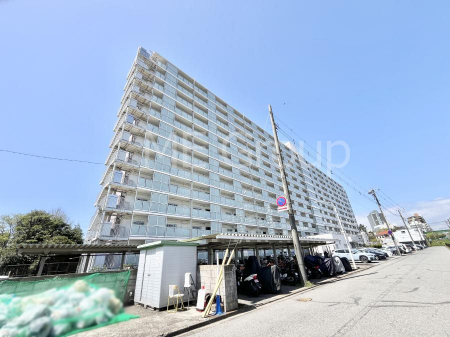 ���n�O�ώʐ^�@����z���ł��Ƒ��̏Ί���P�� 