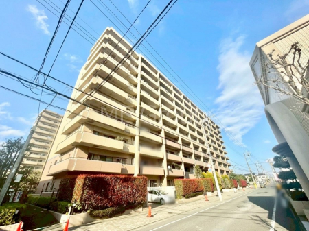 ���n�O�ώʐ^�@��������n�܂�V�����������������܂�