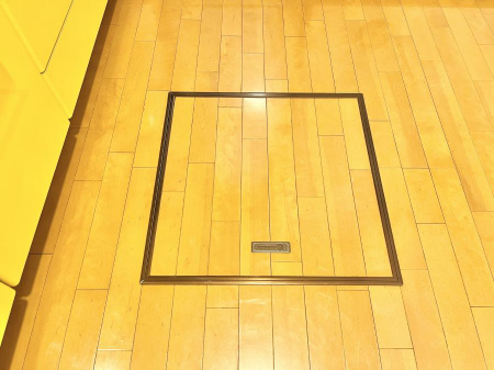 ���̑����ρ@�������[�t���I���p�i�E���p�i�̎��[�ɂ��劈��B