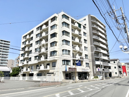 ���n�O�ώʐ^�@��������n�܂�V�����������������܂��I  