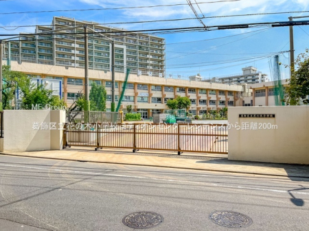 ���ӊ��@���w�Z 200m �����旧�Ԃ̖؏��w�Z