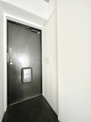 ���ց@�������ꂢ�ɂ��Ă����������ւł��ˁB