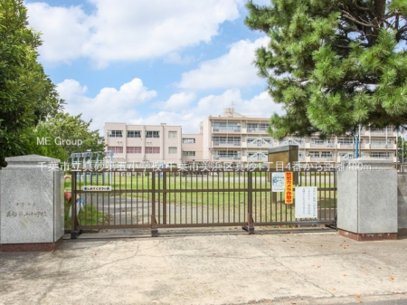 ���ӊ��@���w�Z 480m ��t�s���^����܏��w�Z