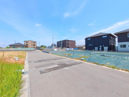 ���n�y�n�ʐ^�@-