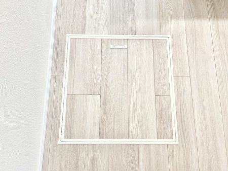 ���̑����ρ@�������[�t���I���p�i�E���p�i�̎��[�ɂ��劈��B