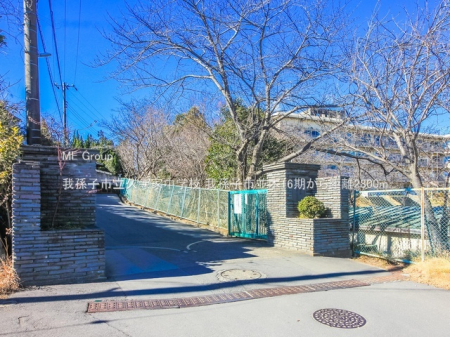 ���ӊ��@���w�Z 2800m �䑷�q�s���v���ƒ��w�Z