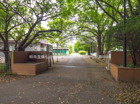 ���ӊ��@���w�Z 880m ���s�����S���w�Z