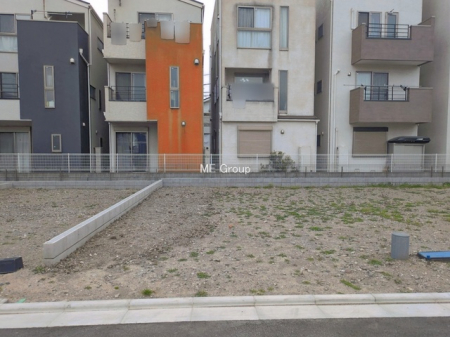 ���n�y�n�ʐ^�@-