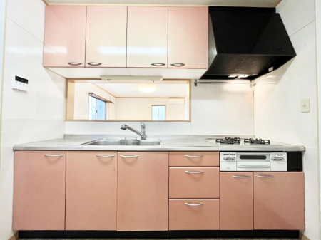 �L�b�`���@�������������I�ɁA�y�����I�V�X�e���L�b�`��  