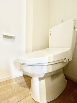 �g�C���@�g�C���͉������@�\�t��