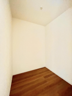 ���̑����ρ@�����`Walk-in Closet�`�@�����Ղ���[�ł���E�H�[�N�C���N���[�[�b�g�������B�ߗނ⏬�����������萮���ł��A�����̃R�[�f�B�l�[�g���X���[�Y�ɁB��1�������d�l�ʐ^  