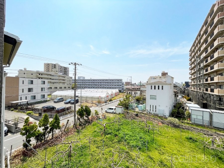 ���̑��@�o���R�j�[����̒��]�ł�