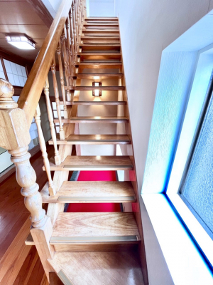 ���̑��@�K�i�͎肷��t���Ȃ̂ŏ����Ȃ��q���܂₲����̕������S�ł�