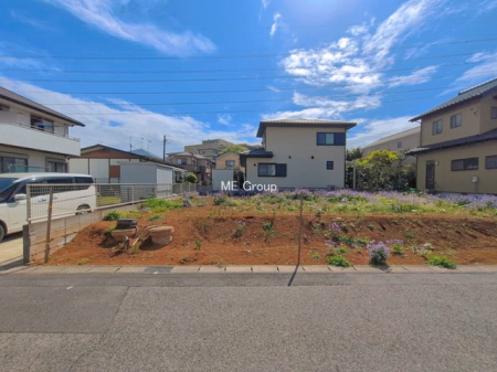 ���n�y�n�ʐ^�@-