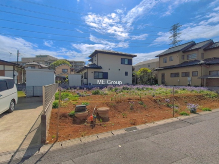 ���n�y�n�ʐ^�@-