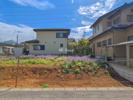 ���n�y�n�ʐ^�@-