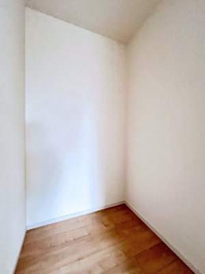 ���̑��@�������Q�������`Walk-in Closet�`�@��������̗m���������Ă��V���ɂȂ�ɂ����E�H�[�N�C���N���[�[�b�g�B�m���ȊO�ɂ��A���i�g��Ȃ��Ɠd��X�[�c�P�[�X�A�X�g�b�N�i�Ȃǉ��ł��Еt����������Ԃł��B