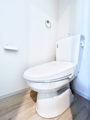 �g�C���@�����`Toilet�`�@�Y��E�X�b�L���E���K�ȃE�H�V�����b�g�t�g�C���ł��낰���Ԃł��B�g�C���͖����g�킴��𓾂Ȃ����́B����������ۂ������ł��ˁB�g�C����2��������̂Œ��̍��G���ɕ֗��ł��I